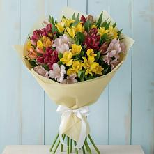 Букет цветов из:  Альстромерии в Улькан