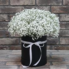 Цветочная композиция из Гипсофила в шляпной коробке в Улькан