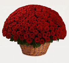 Премиум букет из: Розы в Улькан