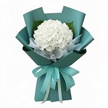 Букет цветов из:  Гортензия в Улькан